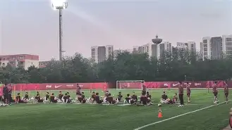 汉诺威队在关键战役中失利，保级希望渺茫的简单介绍