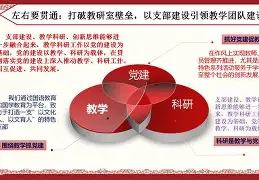 核心统领攻防节奏，全队状态走高